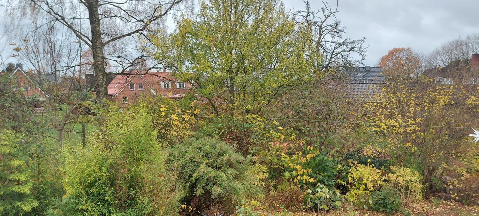 Ferienwohnung Bad Segeberg Eksteriør bilde